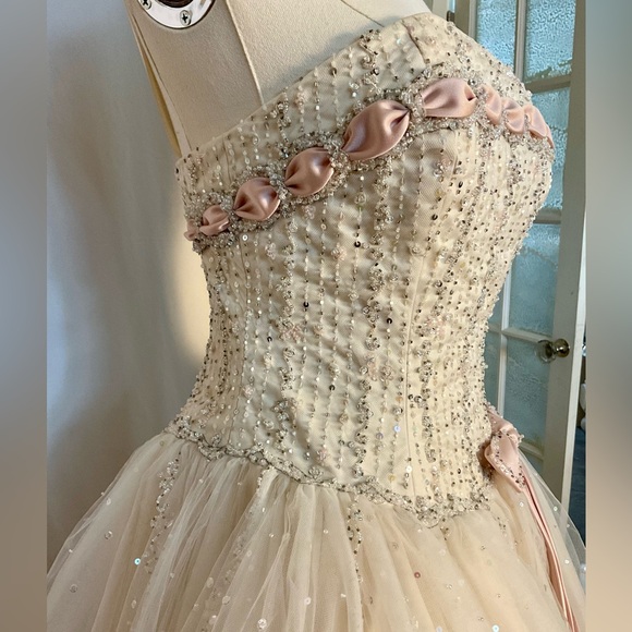 Gorgeous Mori Lee Madeline Gardner champagne & pink beaded tulle gown size 5/6 - Picture 2 of 8